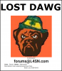 Lost Dawg.png