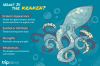 green-mythology-the-kraken-1525983-FINAL-5ba0f9f846e0fb0024e29e5e.png